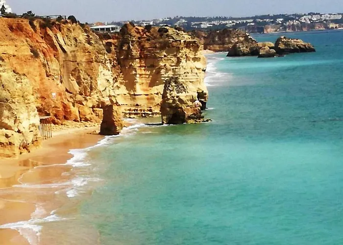 Da Rocha * ポルティマン